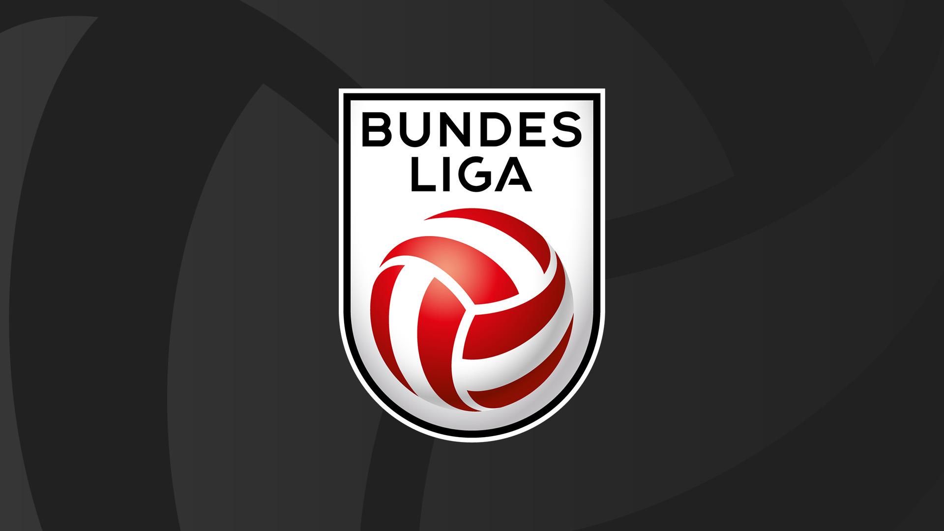Fußball: Österreich, Bundesliga. 19. Runde (fuball-sterreich-bundesliga-19-runde) Спорт