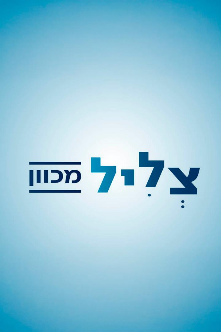 צליל מכוון Досуг, хобби