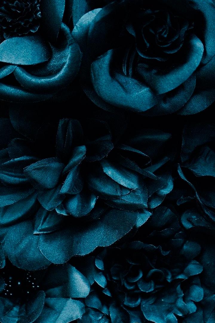 Предательство (predatelstvo) Сериал 2016