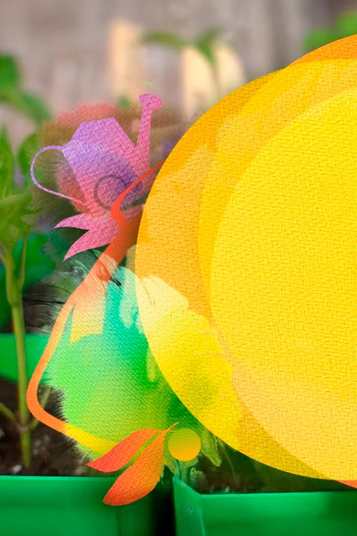 Сезон рассады. Ранняя весна (sezon-rassady-rannjaja-vesna) Досуг, хобби