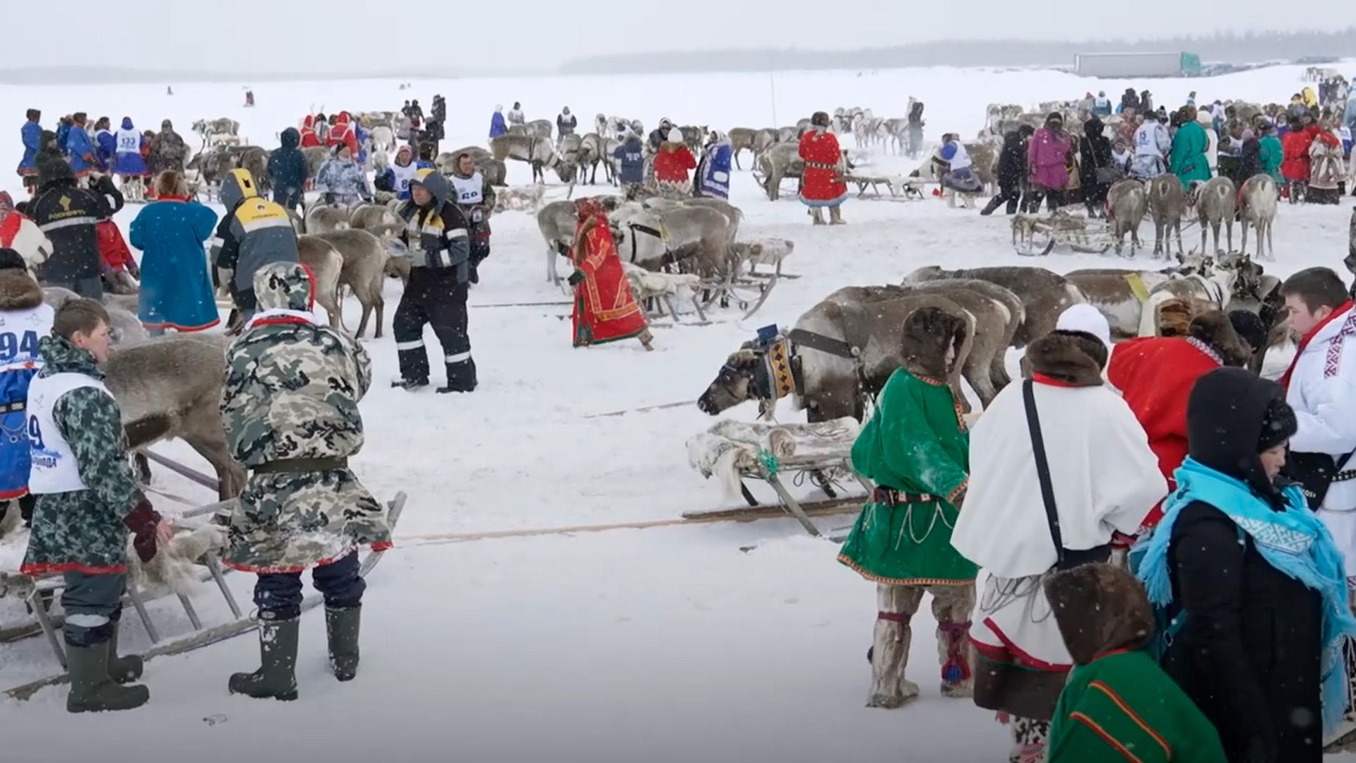 Празднование Дня оленевода в Тарко-Сале (prazdnovanie-dnja-olenevoda-v-tarko-sale) Другое