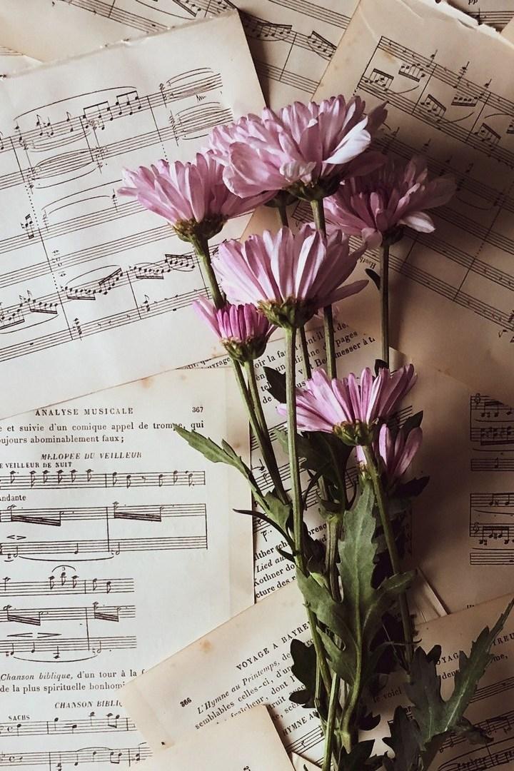 Концерт ко Дню защитника Отечества (kontsert-ko-dnju-zaschitnika-otechestva) Музыка