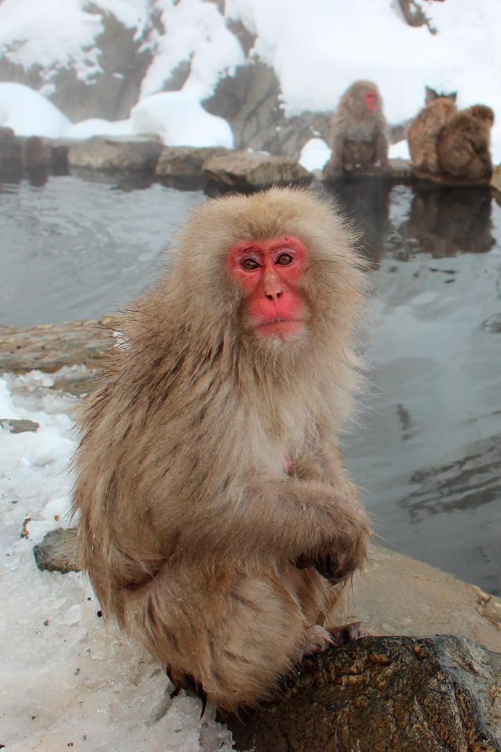 Природные парки (prirodnye-parki) Познавательное