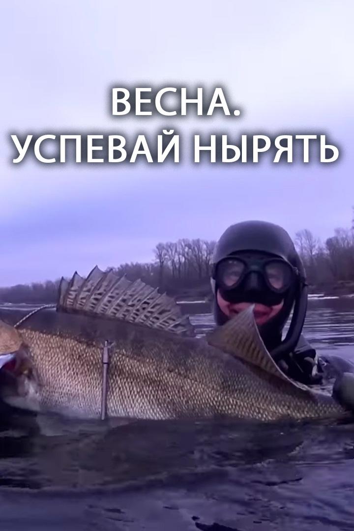 Весна. Успевай нырять (vesna-uspevaj-nyrjat) Досуг, хобби