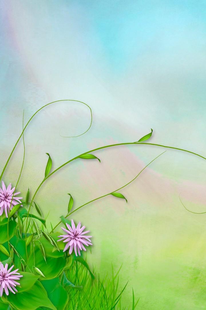 Удивительные судьбы животных (udivitelnye-sudby-zhivotnyh) Познавательное