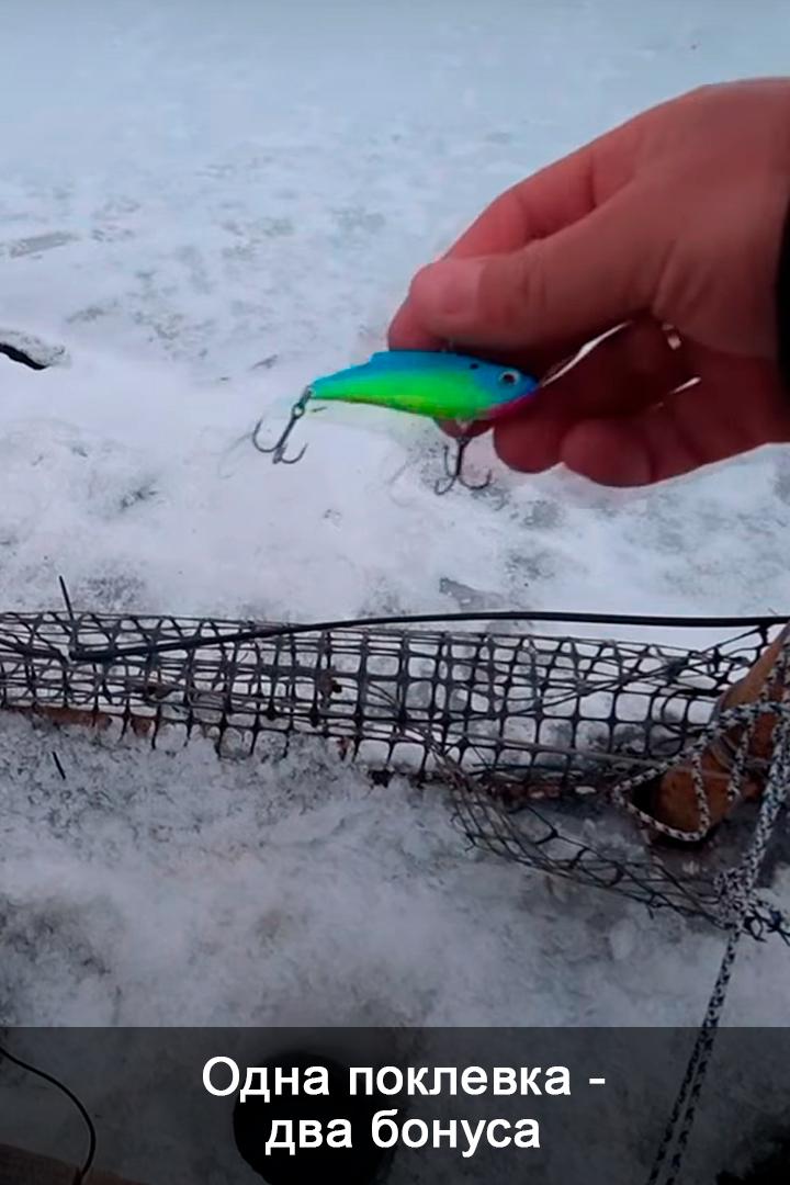 Одна поклевка - два бонуса (odna-poklevka-dva-bonusa) Досуг, хобби