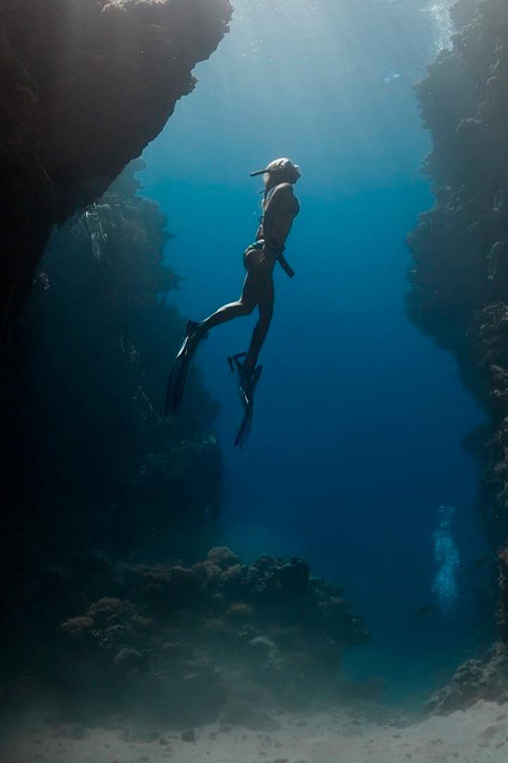 Исследователи. Приключения века (issledovateli-prikljuchenija-veka) Познавательное