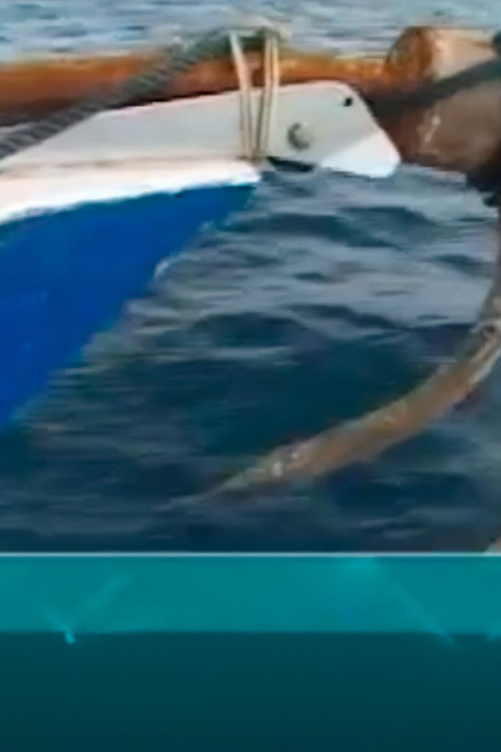 Мальдивы – жемчужины Индийского океана (maldivy-zhemchuzhiny-indijskogo-okeana) Документальный фильм