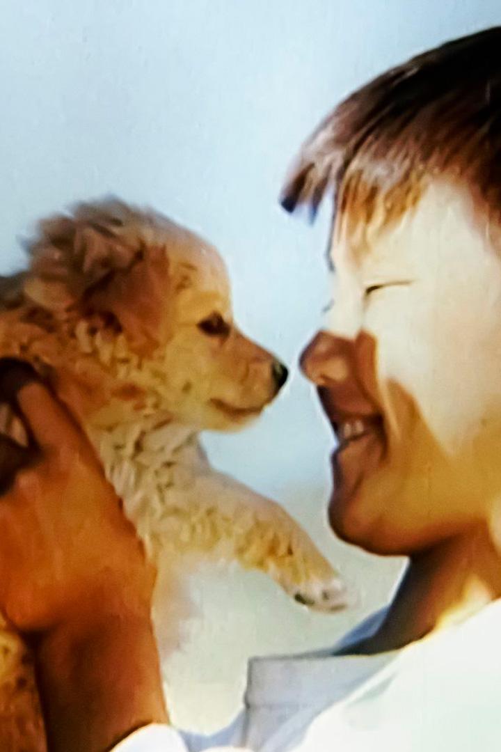 Тебе нужен щенок? (tebe-nuzhen-schenok) Фильм 2004