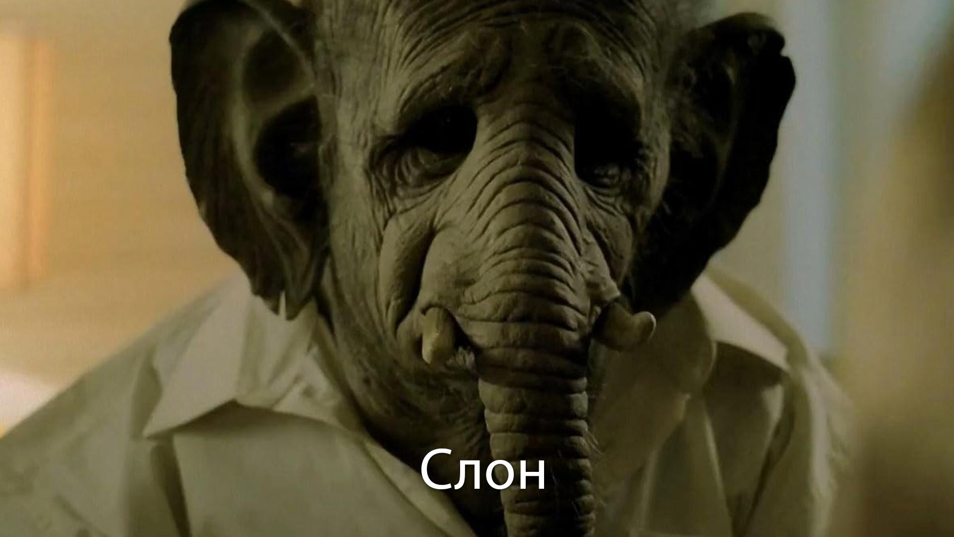 Слон (slon) Фильм 2011