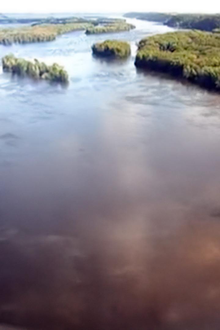 Дикая природа Миссисипи (dikaja-priroda-missisipi) Документальный сериал