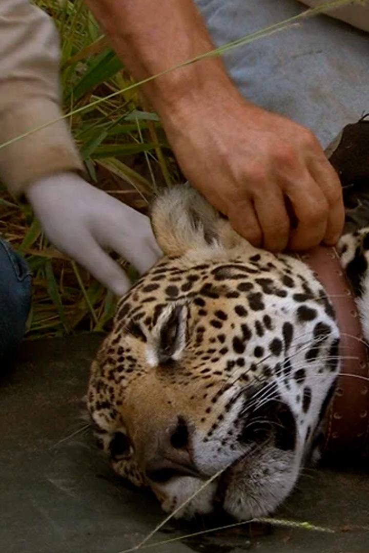 Жизнь вопреки (zhizn-vopreki) Документальный сериал