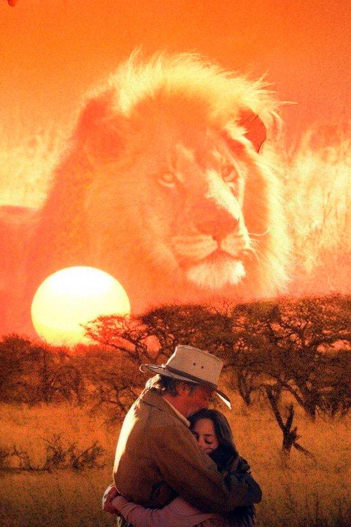 Лев (lev) Фильм 2003