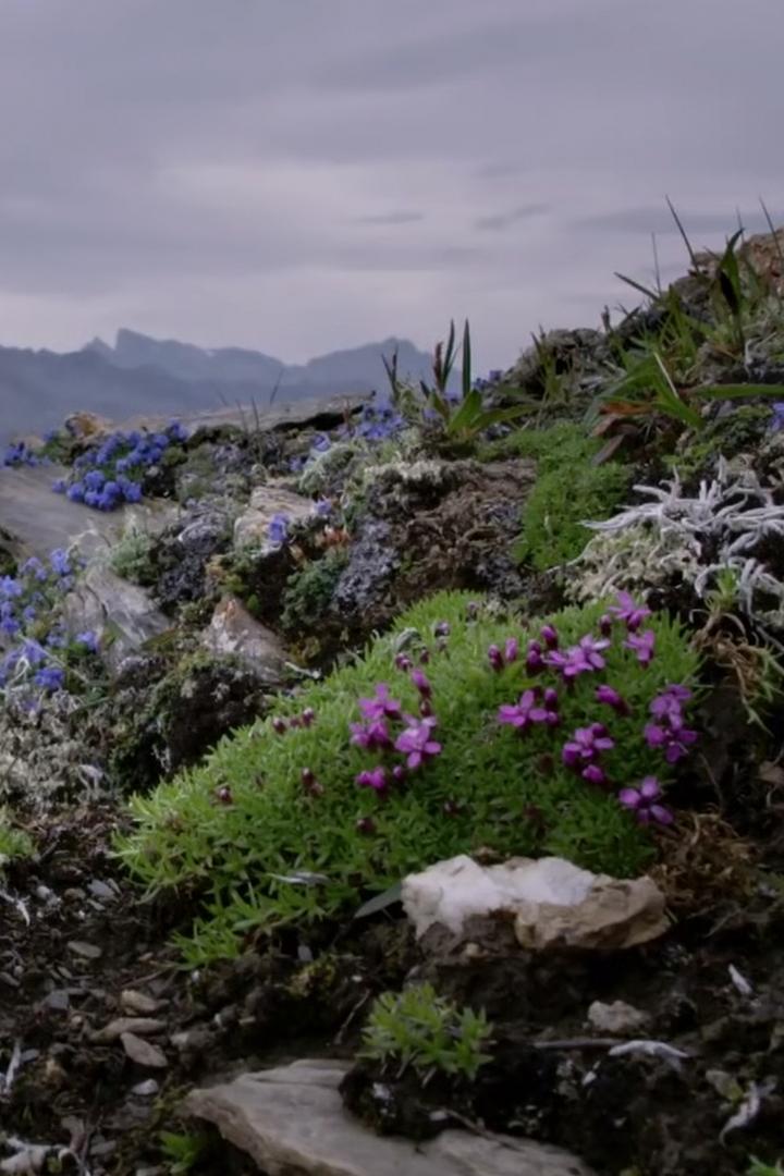 Engadin Vadisi (engadin-vadisi) Документальный фильм