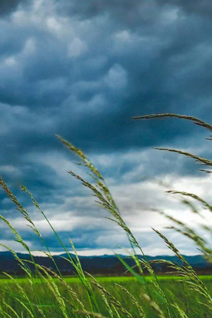 Невидимая природа (nevidimaja-priroda) Документальный фильм