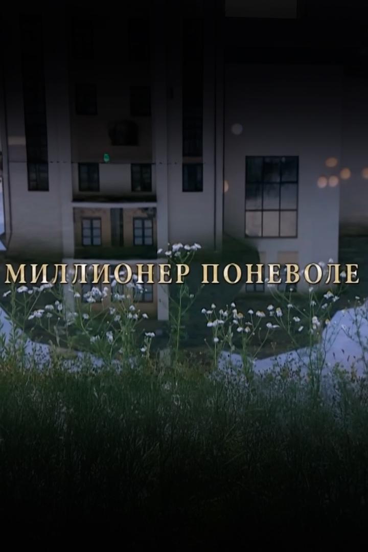 Миллионер поневоле (millioner-ponevole) Сериал 2007