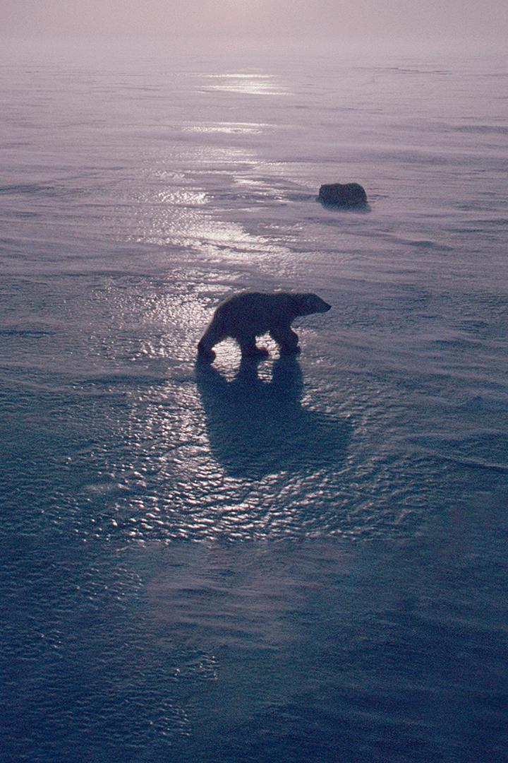 24 часа на Земле (24-chasa-na-zemle) Документальный сериал