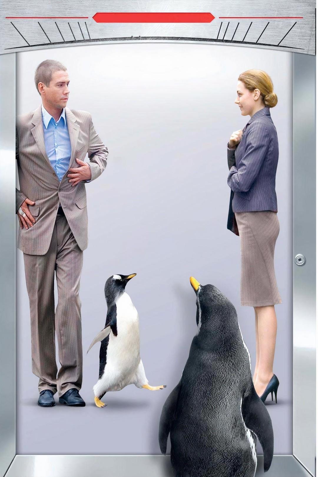 Любовь под прикрытием (ljubov-pod-prikrytiem) Фильм 2010