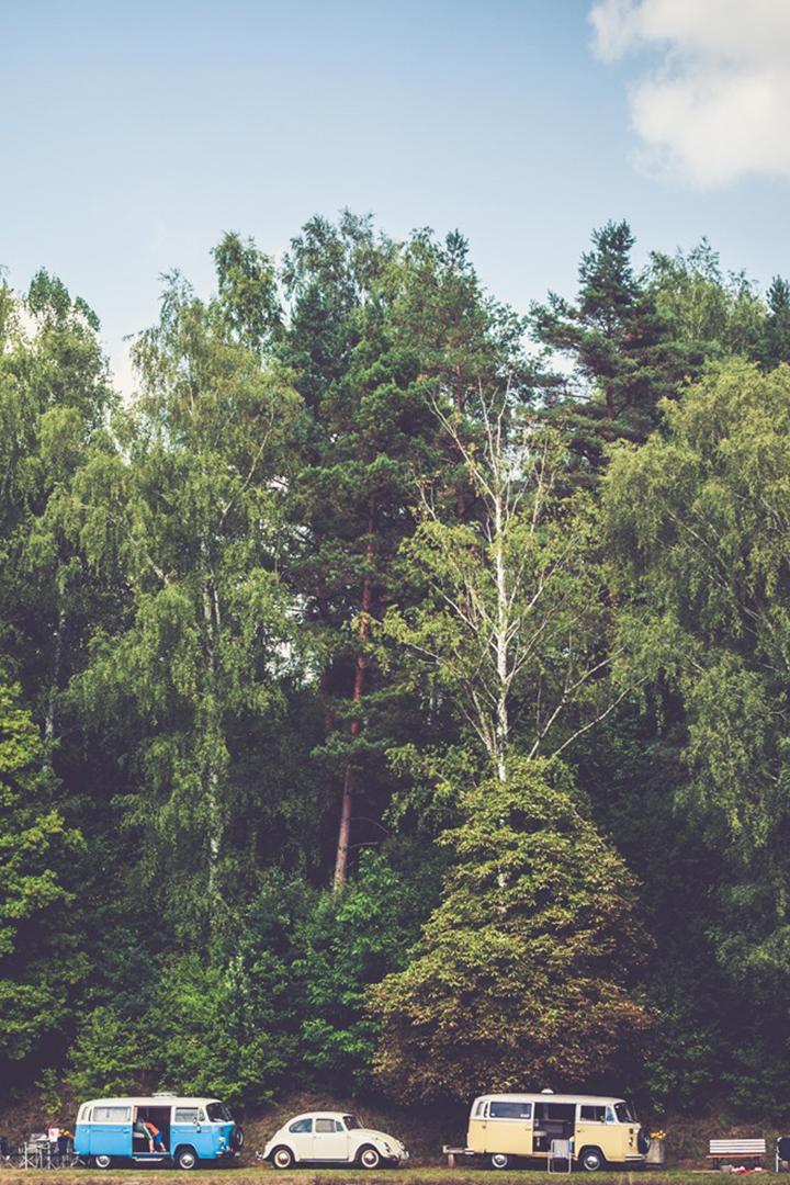 Удивительный мир автомобилей (udivitelnyj-mir-avtomobilej) ТВ-шоу