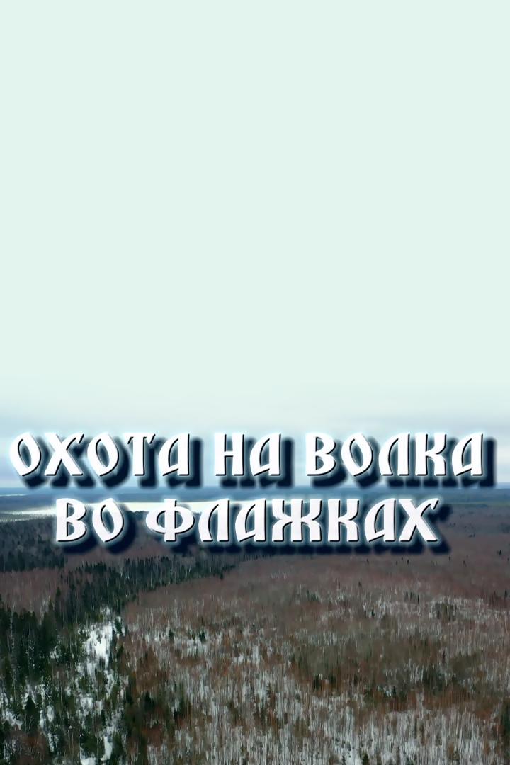 Охота на волка во флажках (ohota-na-volka-vo-flazhkah) Познавательное