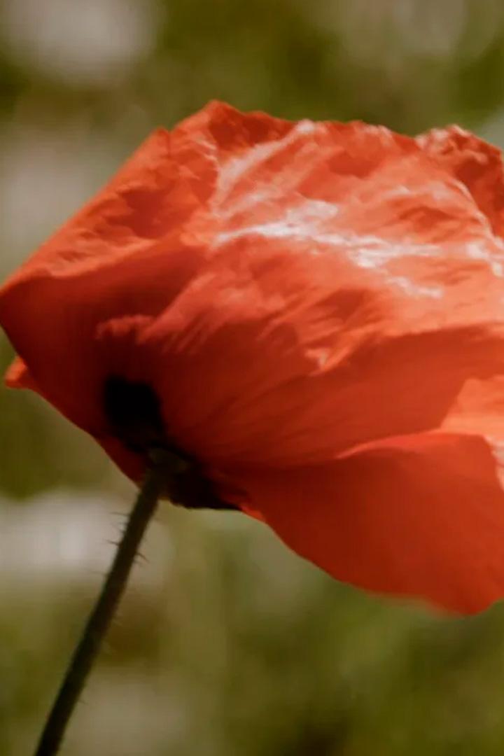 Они нас слышат (oni-nas-slyshat) Документальный фильм