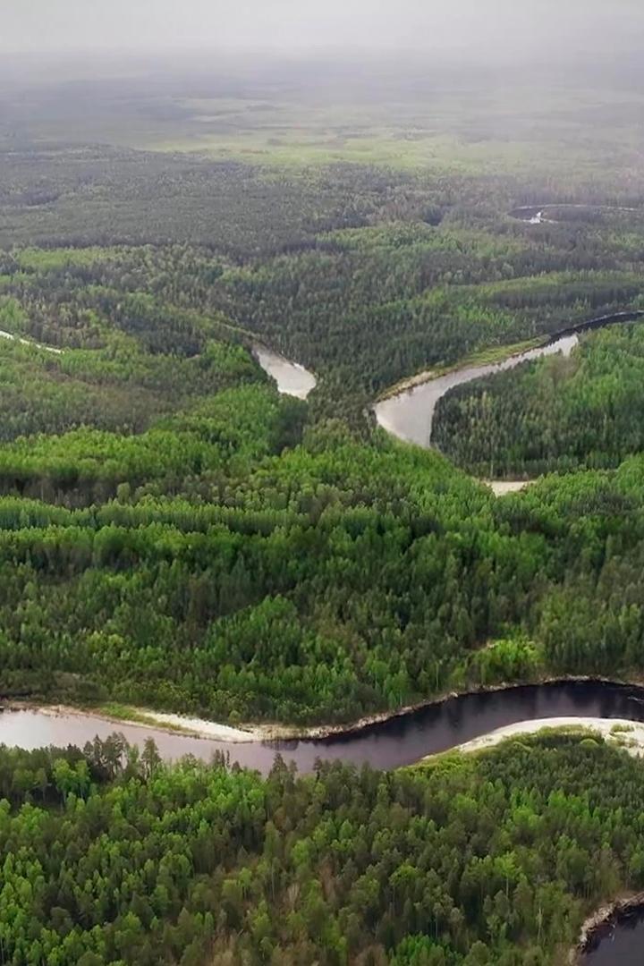 Тайны Керженского заповедника (tajny-kerzhenskogo-zapovednika) Документальный фильм
