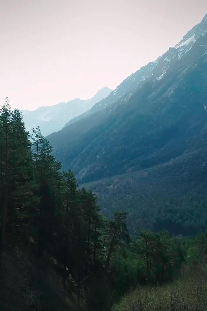 Тайны Северо-Осетинского заповедника (tajny-severo-osetinskogo-zapovednika) Документальный фильм