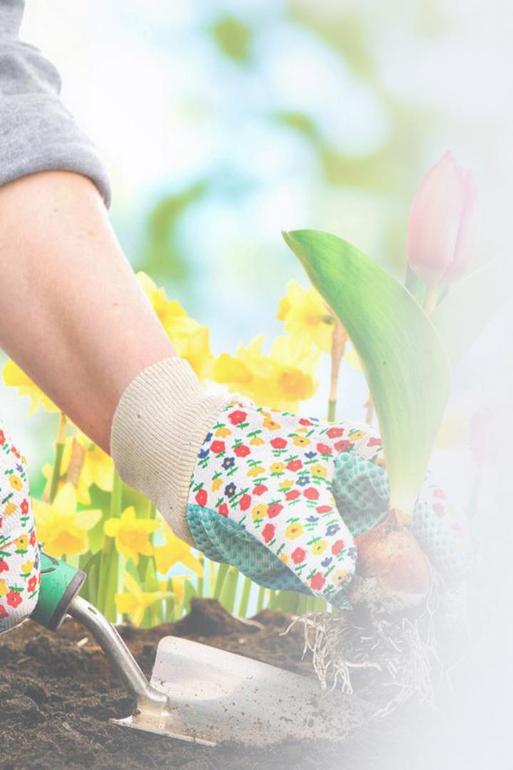 Садовник по призванию (sadovnik-po-prizvaniju) Досуг, хобби