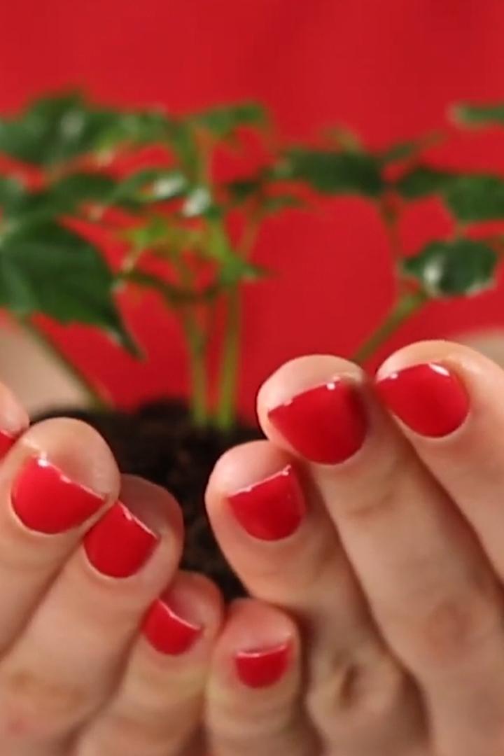 Любисток (ljubistok) Досуг, хобби