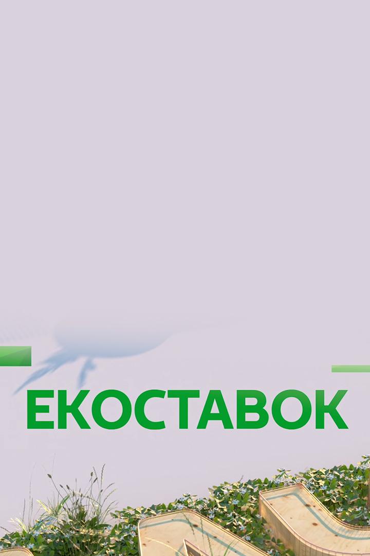 Екоставок (ekostavok) Познавательное