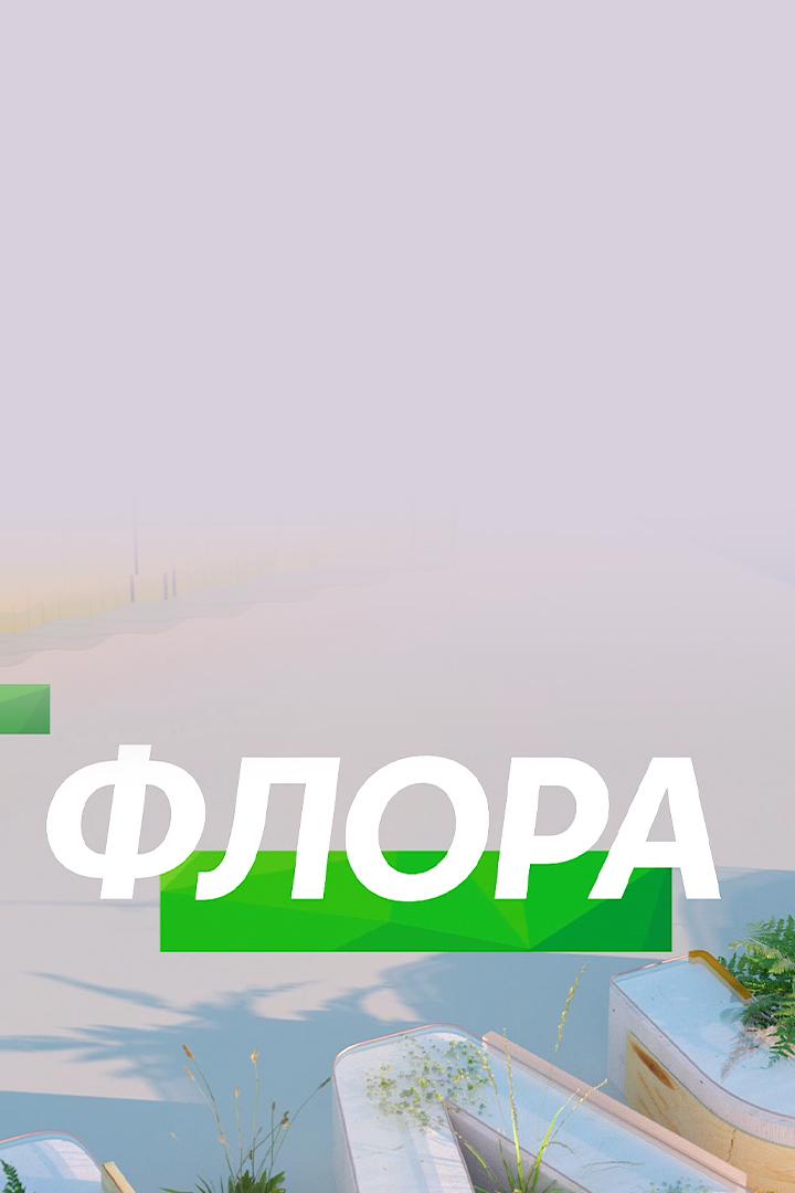 Флора (flora) Досуг, хобби