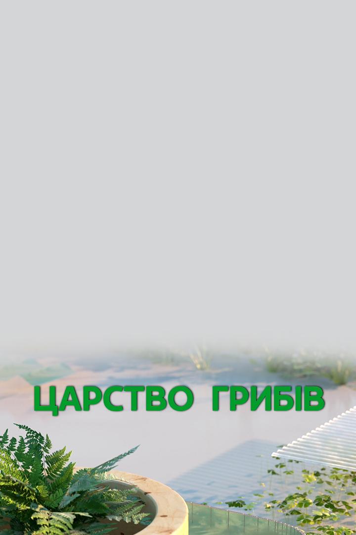 Царство грибов (tsarstvo-gribov) Познавательное
