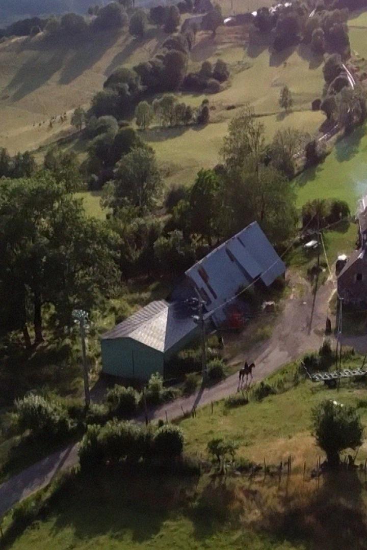 Куда улетели ласточки? (kuda-uleteli-lastochki) Документальный фильм