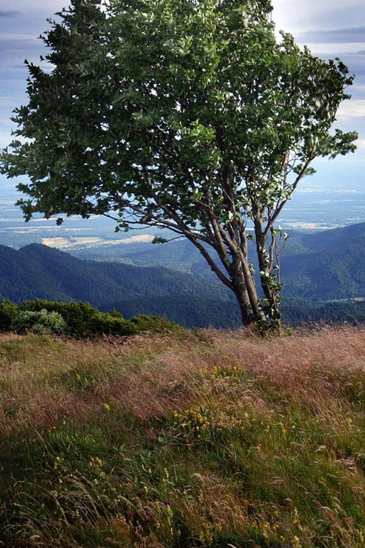 Милая Франция (milaja-frantsija) Документальный сериал