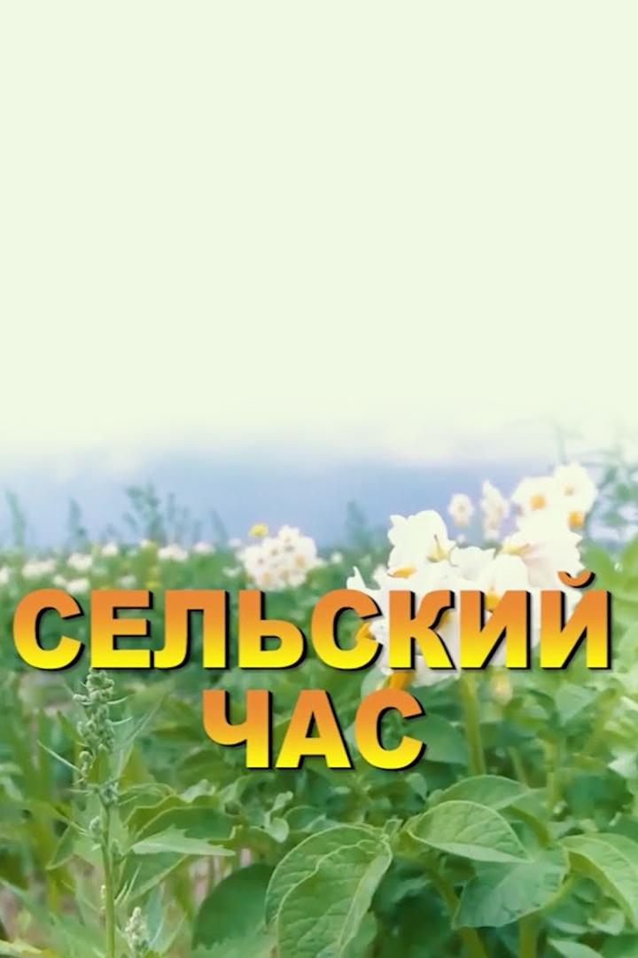 Сельский час (selskij-chas) Познавательное