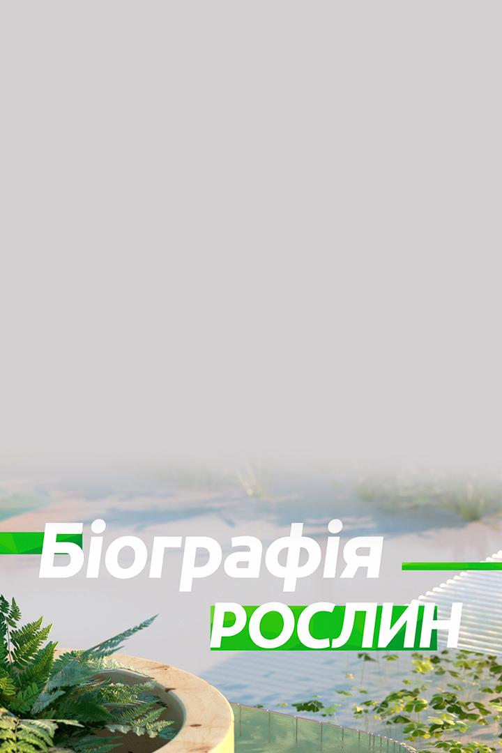 Біографія рослин (bografja-roslin) Познавательное