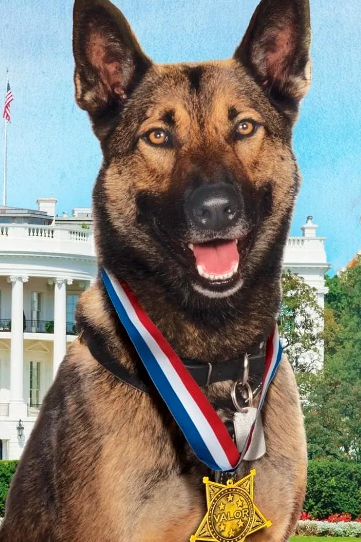 Макс-2: Герой Белого дома (maks-2-geroj-belogo-doma) Фильм 2017