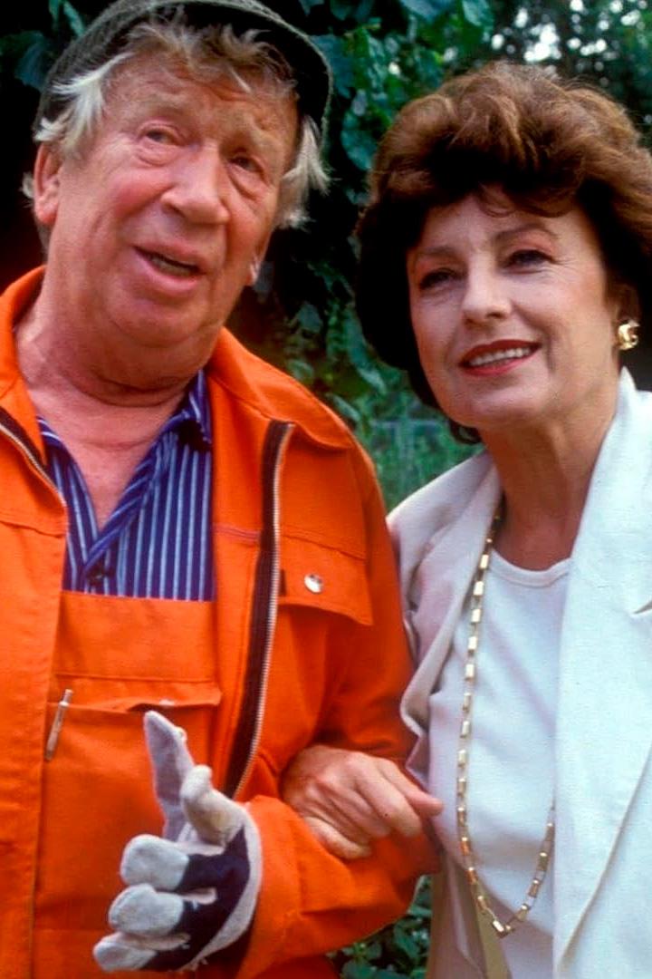 Geschichten aus der Heimat (geschichten-aus-der-heimat) Сериал 1983