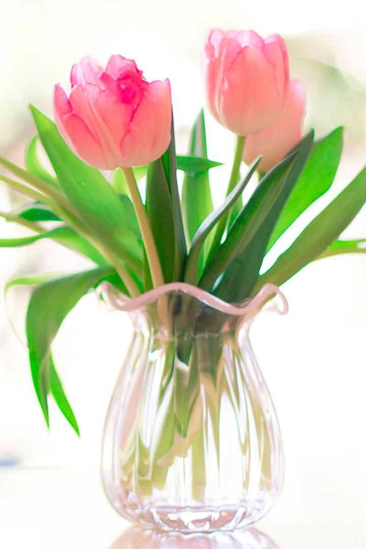 Все звёзды для любимой (vse-zvezdy-dlja-ljubimoj) Музыка