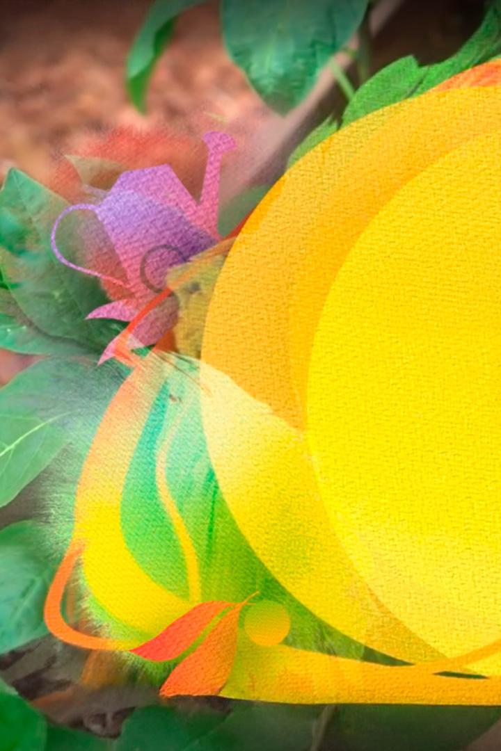 Сезон рассады. Теплица (sezon-rassady-teplitsa) Досуг, хобби