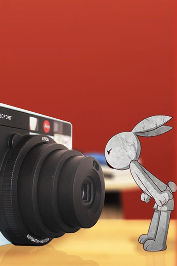 Перебивка. Кунг-фу кролик (perebivka-kung-fu-krolik) Другое