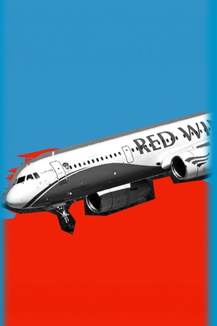 Авиакатастрофа Ту-204 во Внуково 29 декабря 2012 года (aviakatastrofa-tu-204-vo-vnukovo-29-dekabrja-2012-goda) Документальный фильм