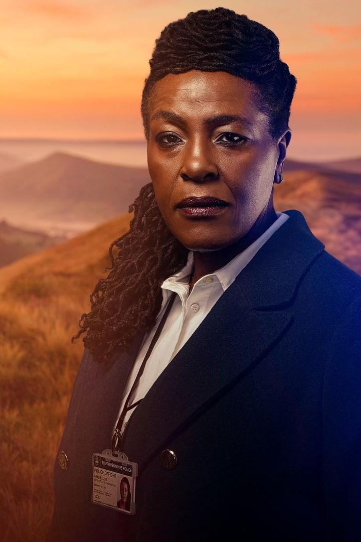 Инспектор Эллис (inspektor-ellis) Сериал 2024