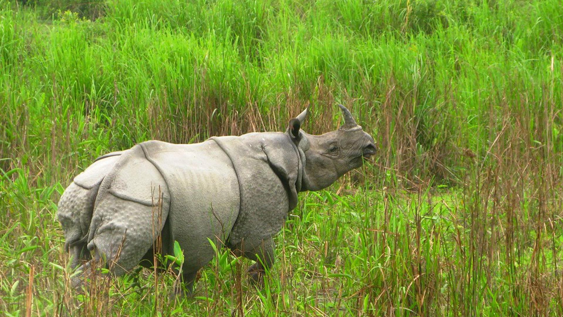С водой и без воды (s-vodoj-i-bez-vody) Документальный сериал