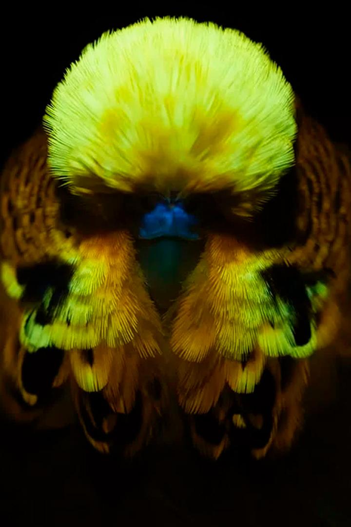 Жизнь в свечении (zhizn-v-svechenii) Документальный сериал