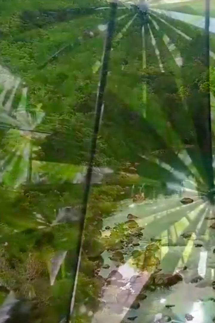 Природные чудеса Дэйнтри (prirodnye-chudesa-dejntri) Документальный фильм