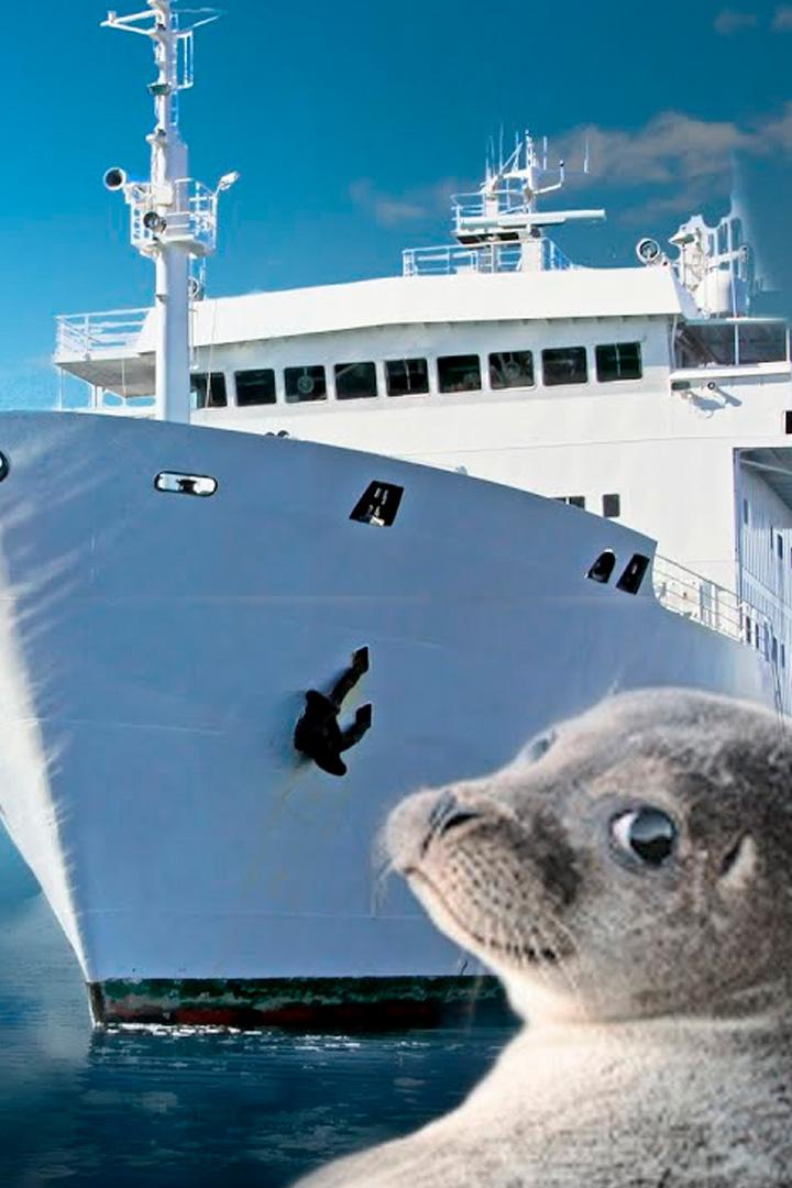 Экспедиция Антарктика (ekspeditsija-antarktika) Документальный фильм