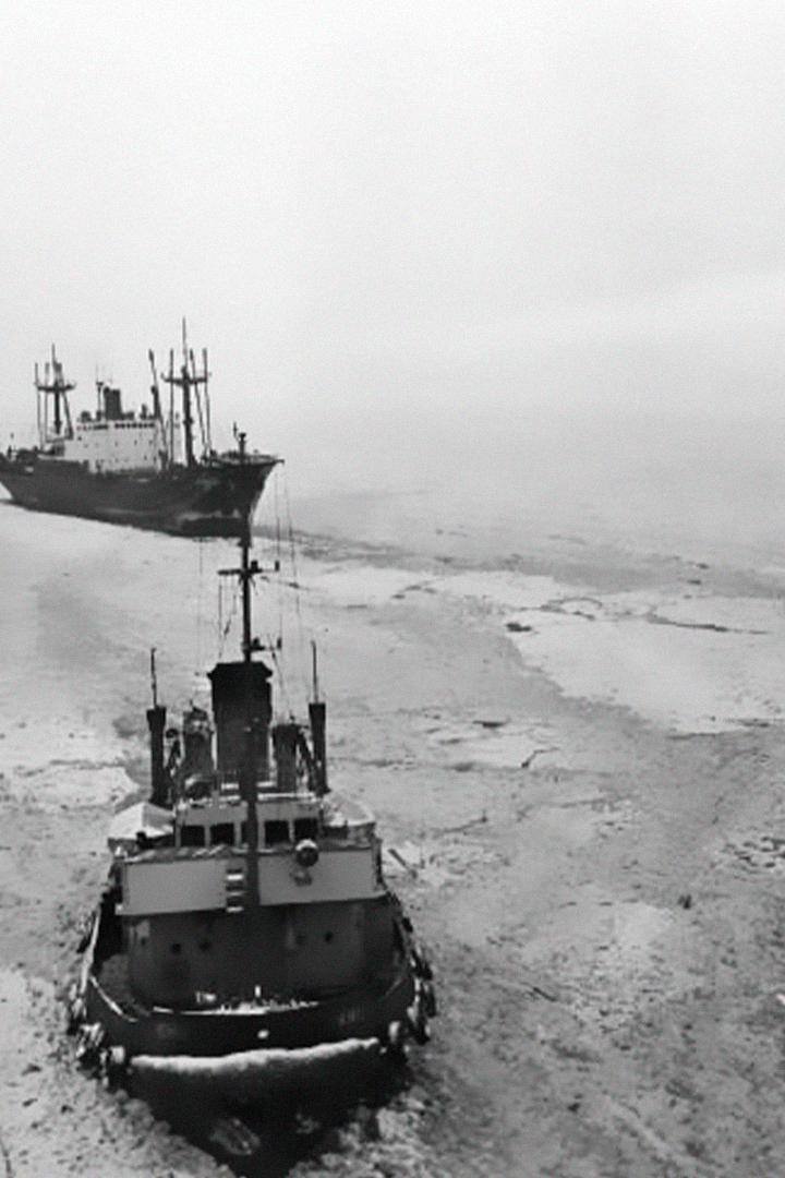 Оборона Диксона (oborona-diksona) Документальный фильм