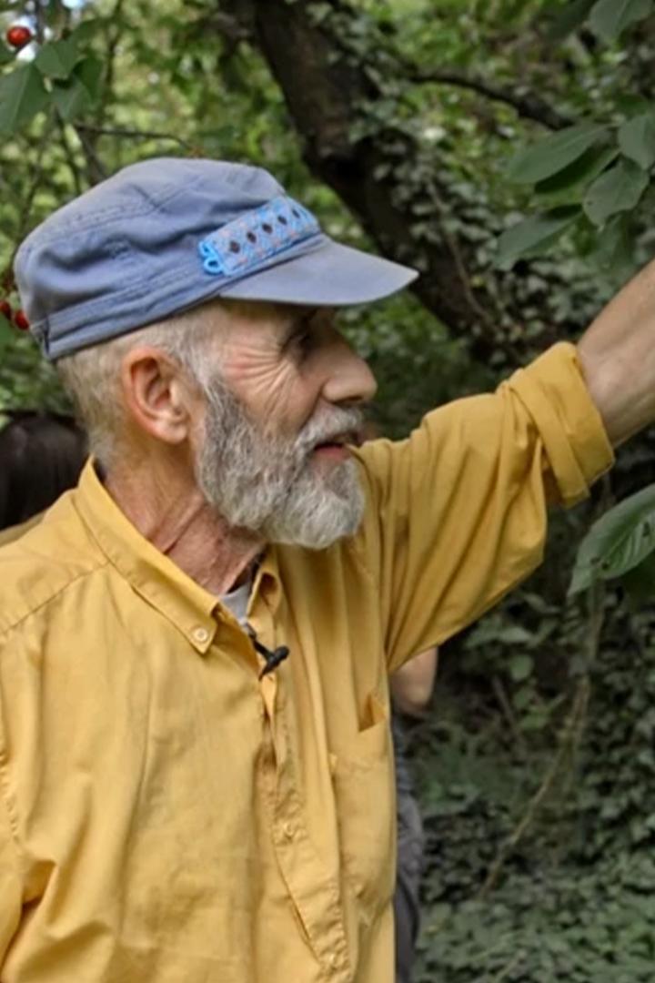 Дикий сад Жана Луи (dikij-sad-zhana-lui) Документальный фильм