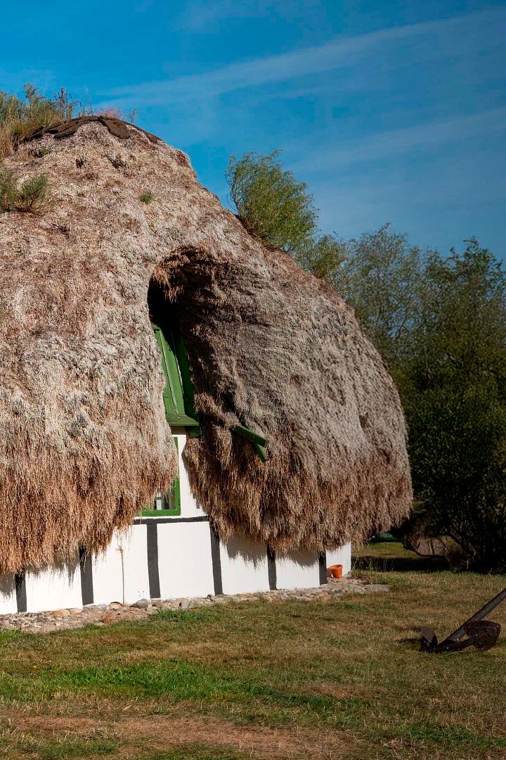 Laeso, des toits nés de la mer (laeso-des-toits-ns-de-la-mer) Документальный фильм